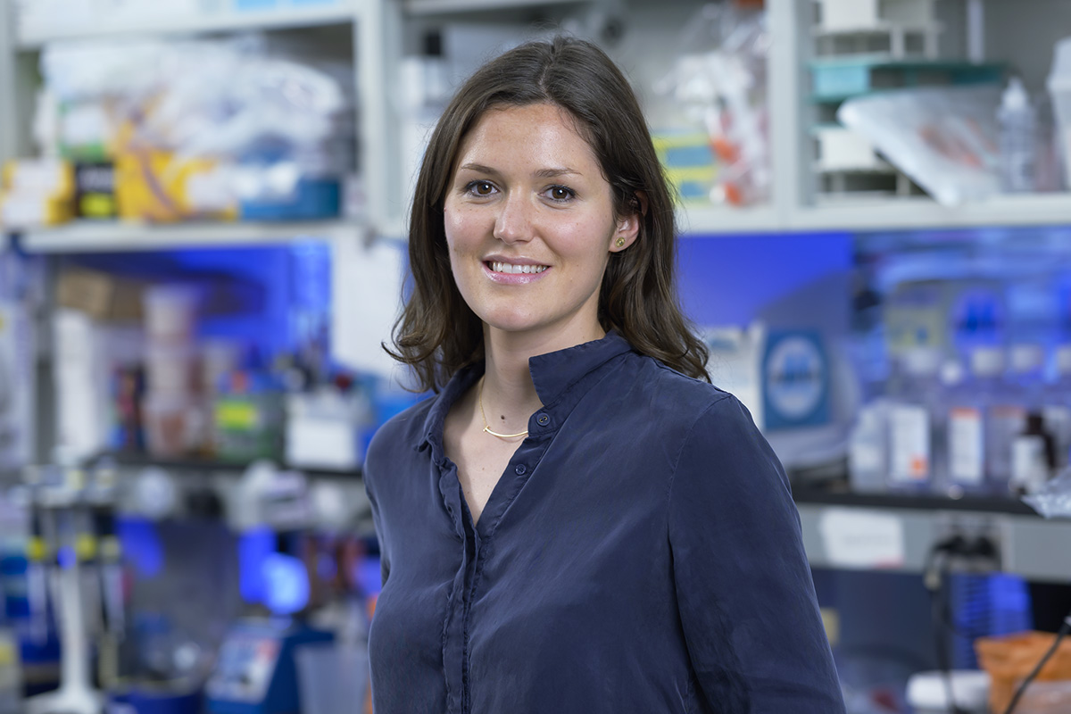 Développer de nouvelles « cellules tueuses » (CAR-T cells) contre les cancers du sang (Lymphomes T)